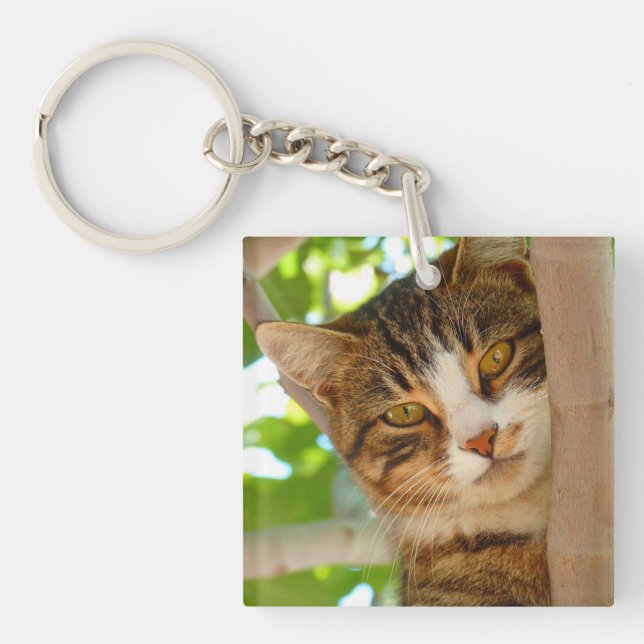 Porte-clefs Cute Escalade de chat un arbre (Devant)