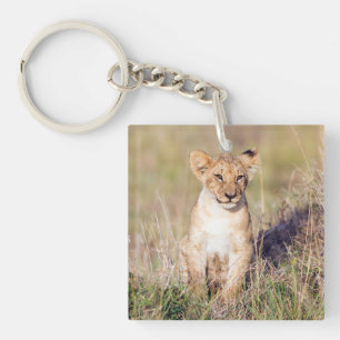 Porte-clefs Cute lionceau en Afrique photo