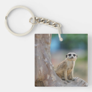 Porte-clefs Cute Meerkat Sat sur arbre