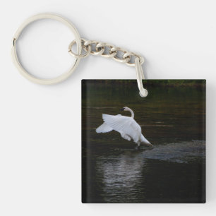 Porte-clefs Cygne trompette