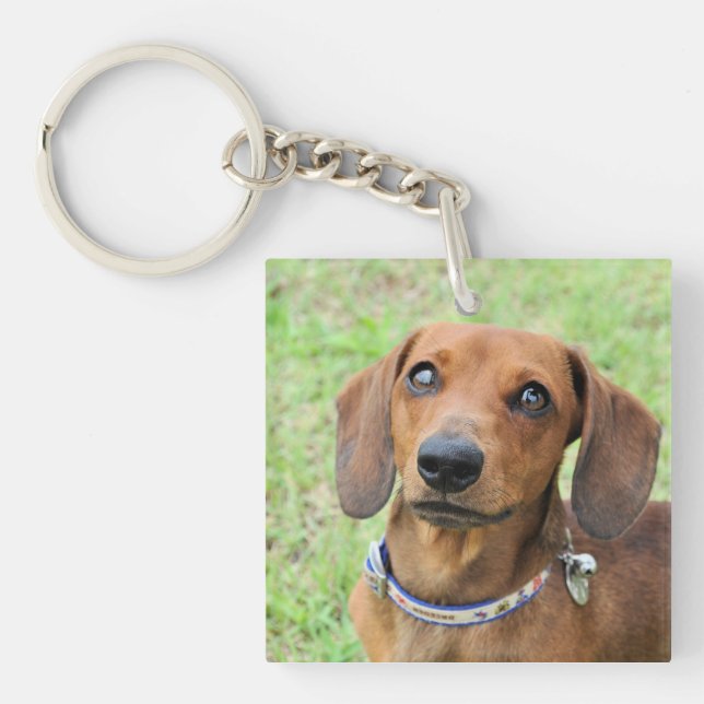 Porte-clefs Dachshund (Devant)