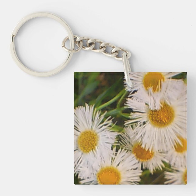 Porte-clefs Daisy (Devant)