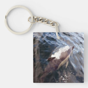 Porte-clefs Dauphin Commun Faune Marine Océanique Nautique