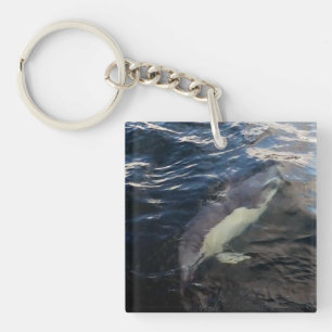 Porte-clefs Dauphin Commun Nageant Océan Faune Marine Vie Mari