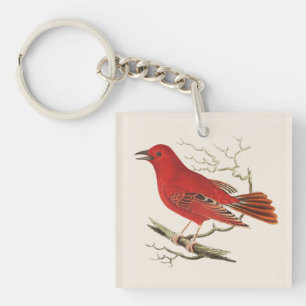 Porte-clefs Décor d'art naturaliste de l'oiseau Tangara écarla