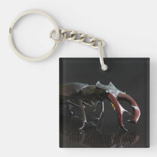 Porte-clefs Dendroctone du pin