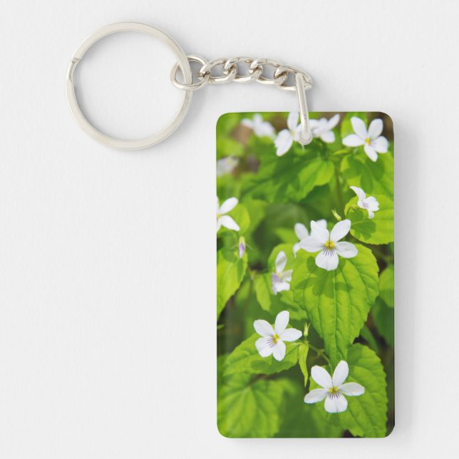 Porte-clefs Désert de Joyce Kilmer-Slickrock (Devant)