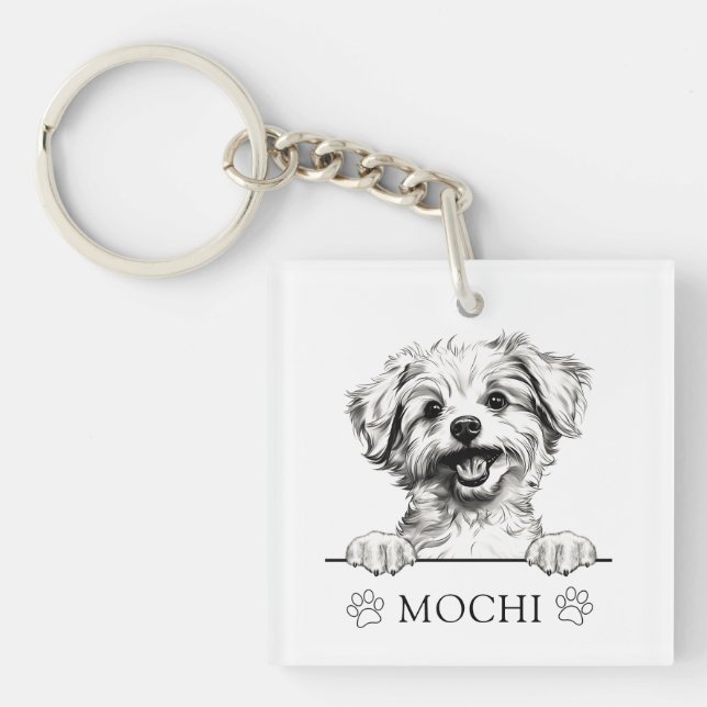 Porte-clefs Dessin à main de chien Pomapoo personnalisé (Devant)