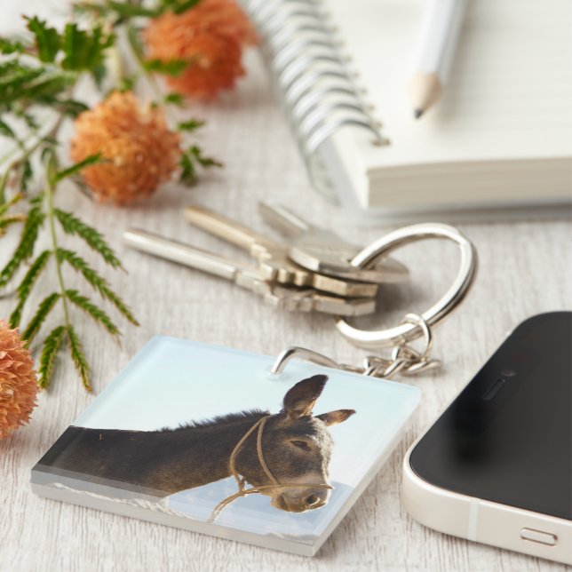 Porte-clefs Destinée d'animal de ferme de mulet d'âne (Devant Droit)