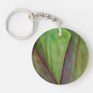 Porte-clefs Détail de la plante d'Agave