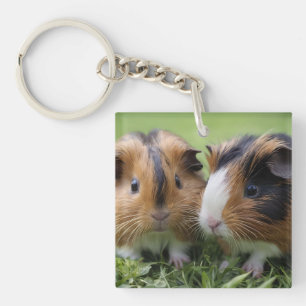 Porte-clefs Deux bébés cochons de Guinée Tortoiseshell,
