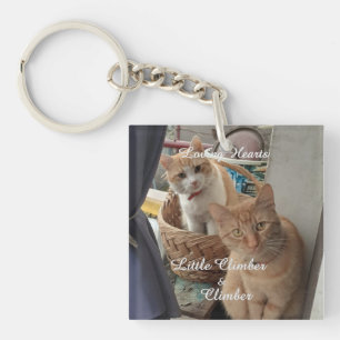 Porte-clefs Deux Chats, Photo Remplaçable Et Noms,
