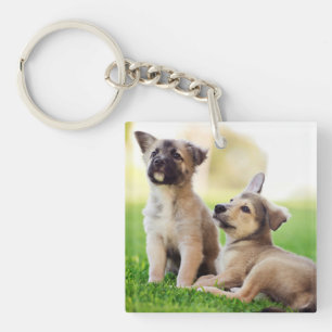 Porte-clefs Deux chiots bergers allemands