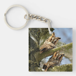Porte-clefs Deux hiboux dans les bois, oiseaux, faune