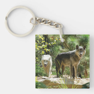 Porte-clefs Deux loups gris en forêt