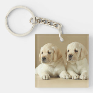 Porte-clefs Deux Marionnettes Golden Labrador