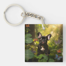 🐶💗Doux chiot Frenchie dans une jungle