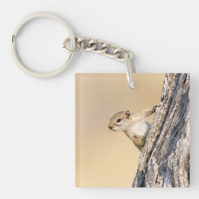 Porte-clefs Écureuil (Devant)