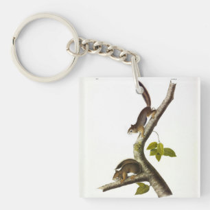 Porte-clefs Écureuil rouge américain (Colombien de Richardson)