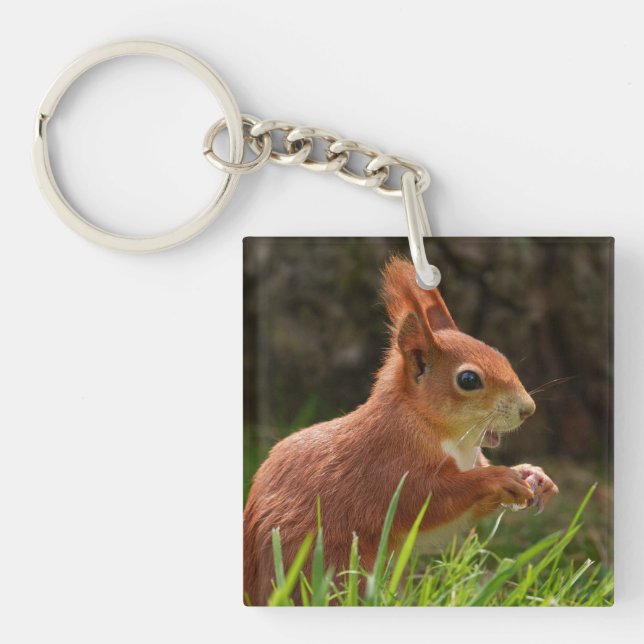 Porte-clefs Écureuil rouge joyeux (Devant)