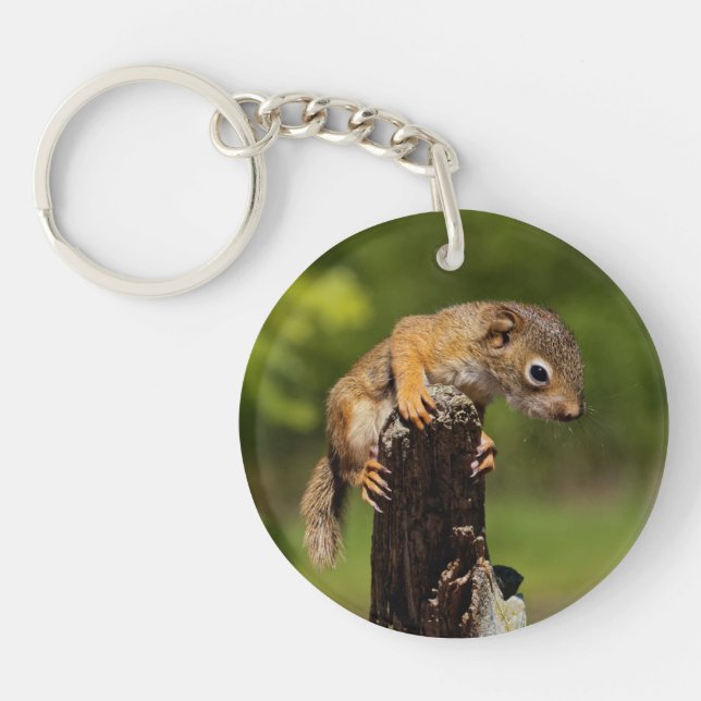 Porte-clefs Écureuil roux bébé (Devant)