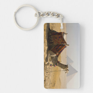 Porte-clefs Égypte, Le Caire. Un chameau solitaire