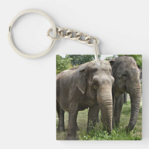 Porte-clefs Éléphants asiatiques côte à côte