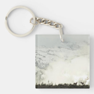 Porte-clefs Elk at Grand Teton National Park Photographie