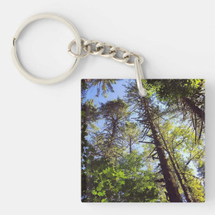 Porte-clefs En regardant les arbres