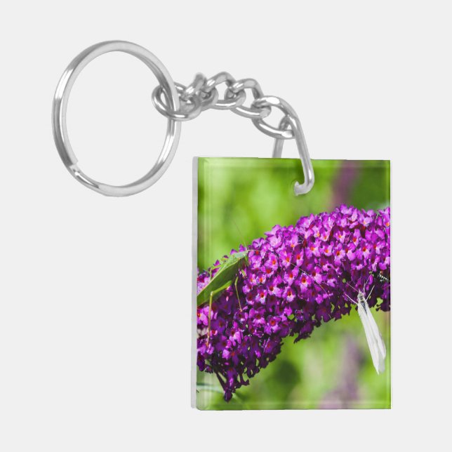 Porte-clefs énergie katydone (Devant gauche)
