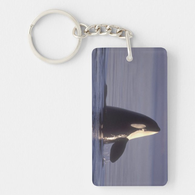 Porte-clefs Épaulard émergeant (Orque orcinus) près de (Devant)