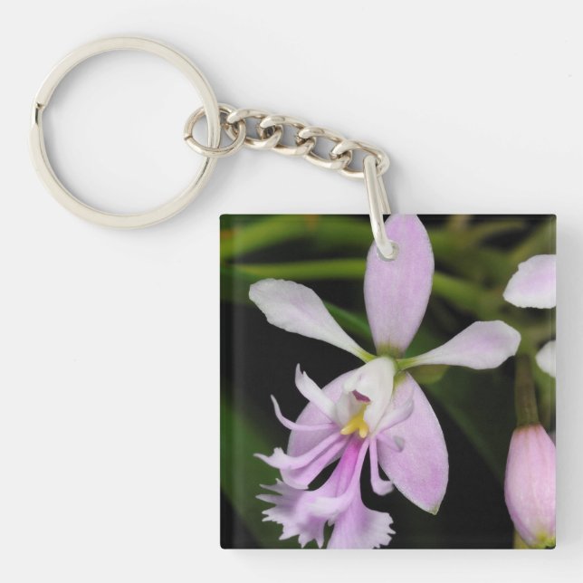 Porte-clefs Epidendrum caligarium (Devant)