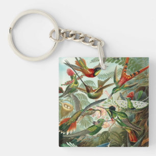 Porte-clefs Ernst Haeckel Hummingbirds - Art Formes de la natu