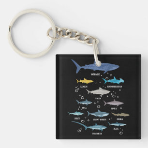 Porte-clefs Espèces de requins Le requin fait face à la biolog