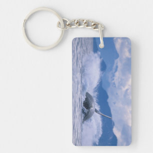Porte-clefs États-Unis, Alaska, Tongass National Forest, Bossu