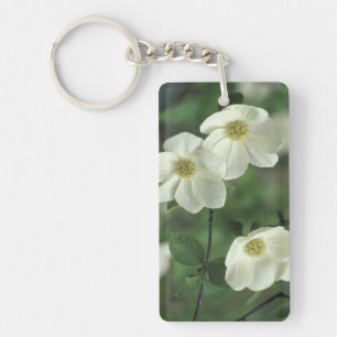 Porte-clefs États-Unis, Californie, Parc national de Yosemite,