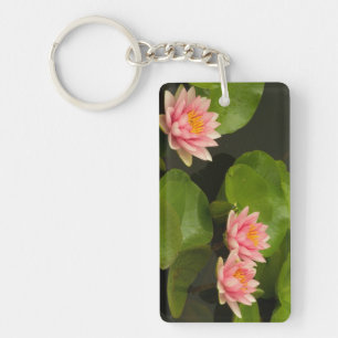 Porte-clefs États-Unis, DC, Washington, Kenilworth 4
