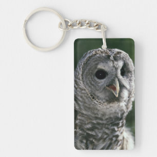 Porte-clefs États-Unis, État de Washington. Chouette rayée (St