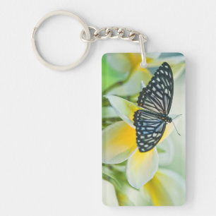 Porte-clefs États-Unis, Pennsylvanie. Papillon swallowtail