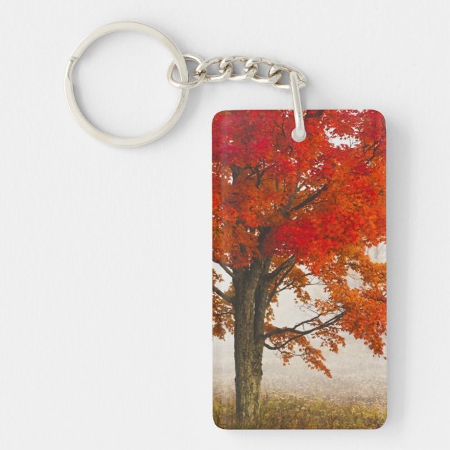 Porte-clefs États-Unis, Virginie-Occidentale, Davis. Érable ro (Devant)