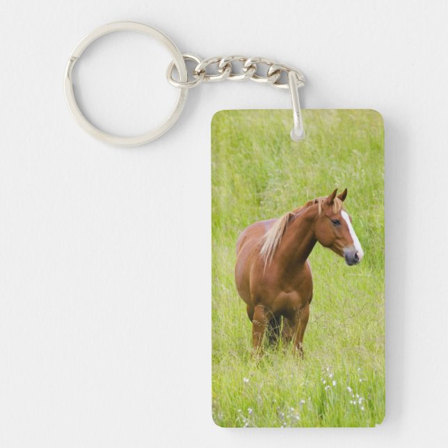 Porte-clefs États-Unis, Washington, Cheval dans un champ print (Devant)