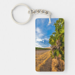 Porte-clefs États-Unis, Washington, Yakima Valley. Raisins Mer