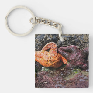 Porte-clefs Étoiles de mer à Bob Creek, OR