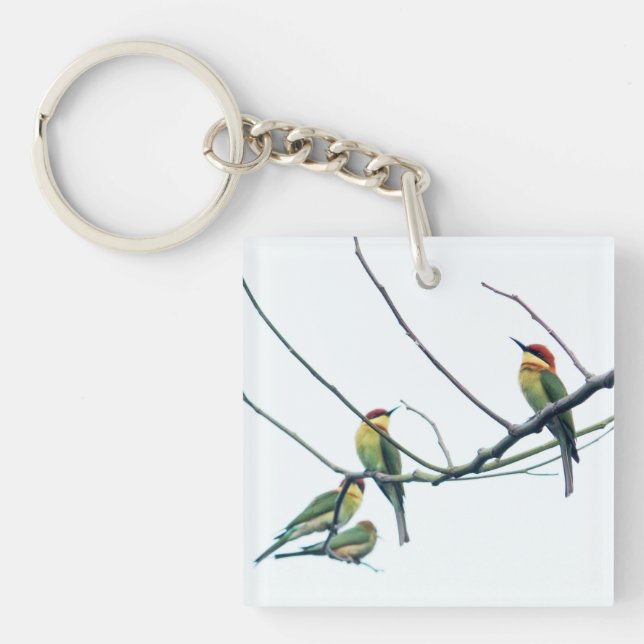 Porte-clefs Exotic Indian kerala Bee-Eater Birds on Branch (Devant)