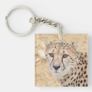 Porte-clefs Face of the Wild : Le regard intense de Cheetah