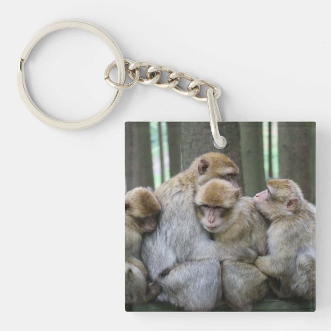 Porte-clefs Famille Cute Ape Photo Hug (Devant)