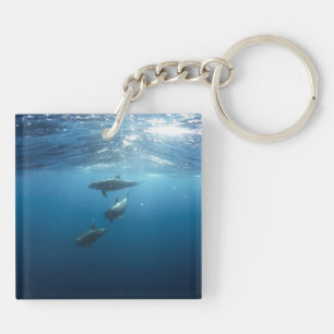 Porte-clefs Famille Dolphin sous-marine