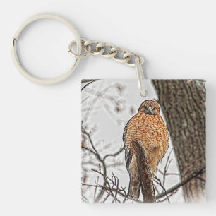 Porte-clefs Faucon épaulé rouge dans un arbre