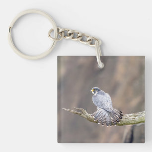 Porte-clefs Faucon pèlerin au parc inter-États des Palisades