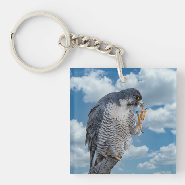 Porte-clefs Faucon pèlerin le long de la rivière Hudson (Devant)